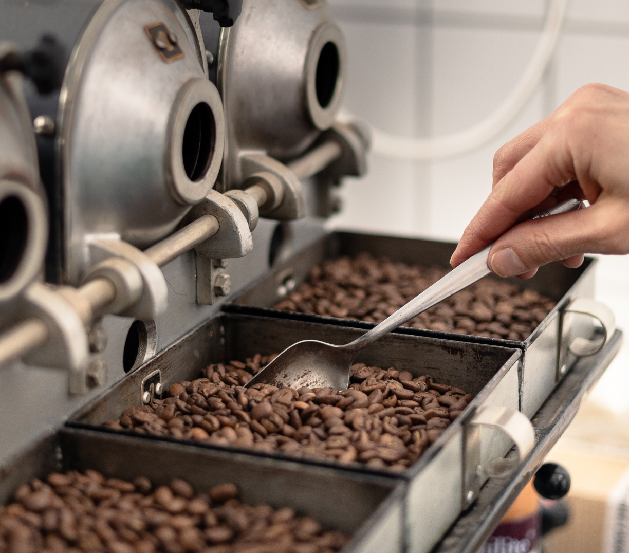 Tapahtuman oletuskuva